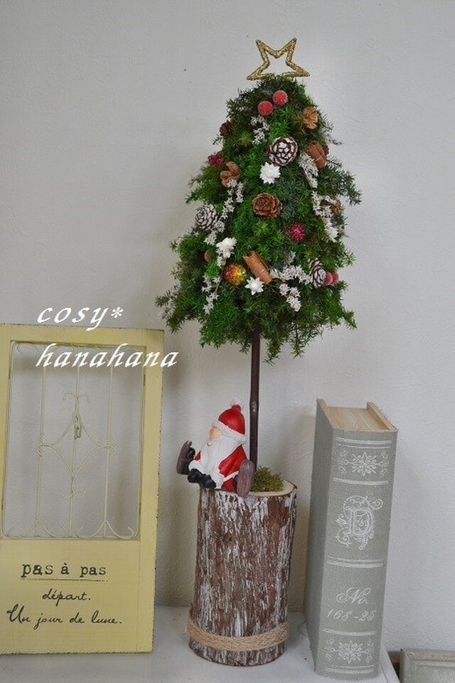 お座りサンタのクリスマスツリーの画像1枚目