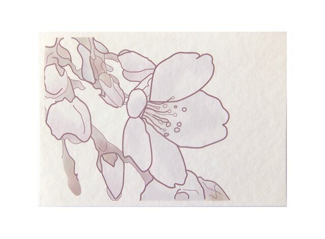 桜 No1 の画像1枚目