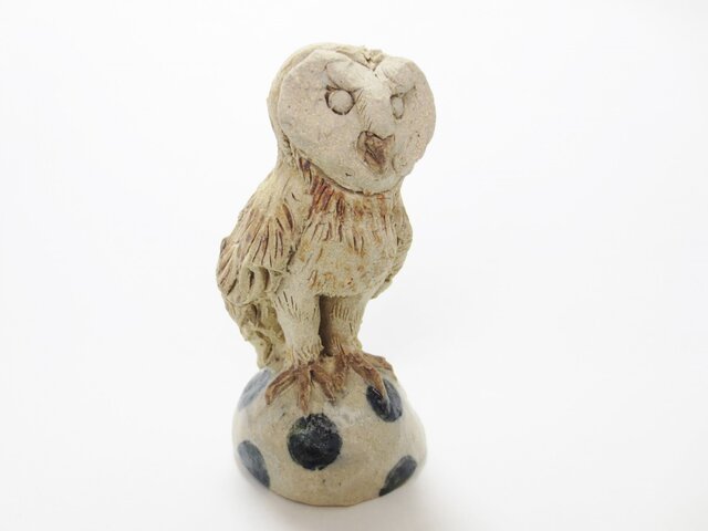 メンフクロウの画像1枚目