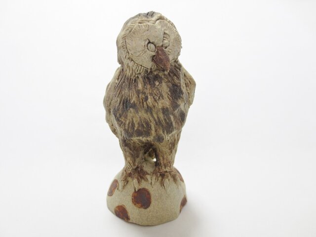 フクロウの画像1枚目