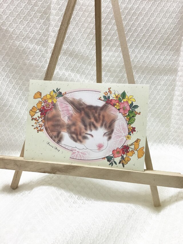 猫ポストカード(組み合わせ自由5枚組)の画像1枚目