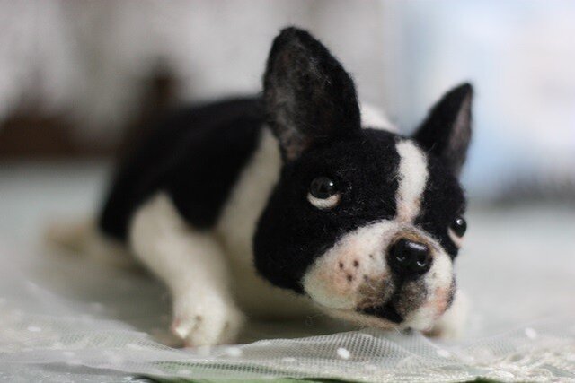 羊毛フェルト ちょっとリアルなイングリッシュブルちゃん 6f1f6e7b2af0516df8f3a34c086a9e