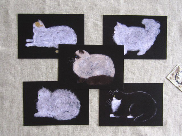 flat-faced cats ポストカードセットの画像1枚目