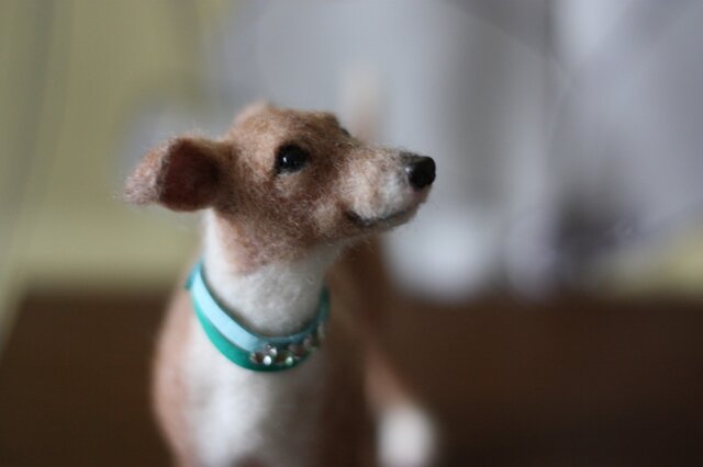 羊毛フェルト　イタプー トイプードル シルバー 羊毛フェルト 羊毛犬 羊毛フェルト