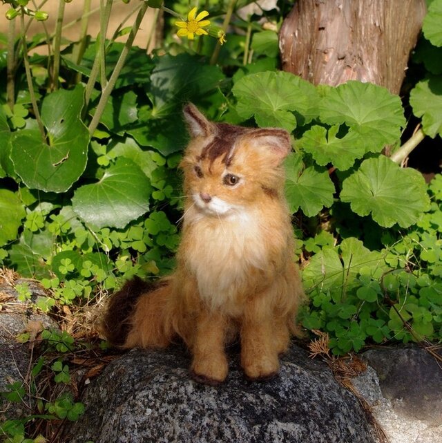 羊毛フェルトの猫人形(ソマリ)の画像1枚目
