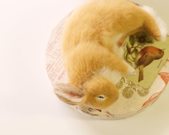 うたたねうさぎの画像1枚目