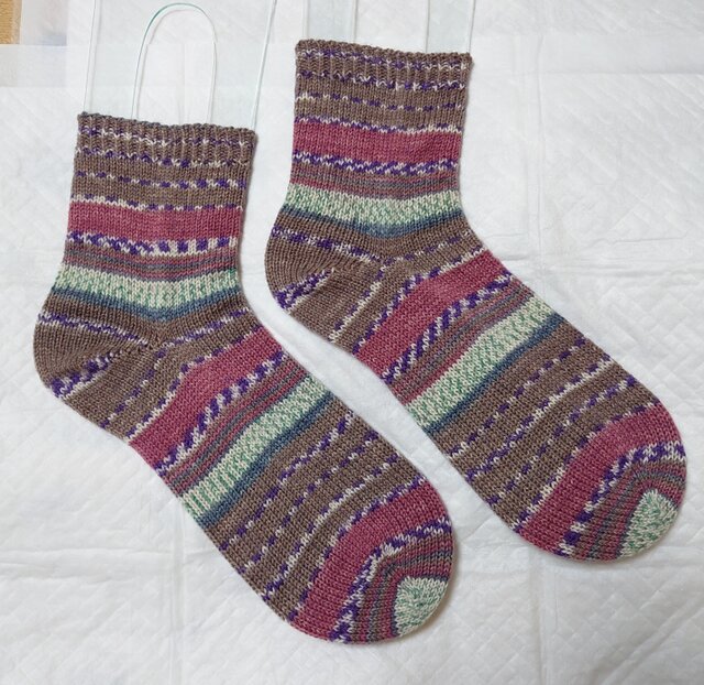 靴下わっか Champion チャンピオン 25〜27cm スニーカーインソックス(3足組