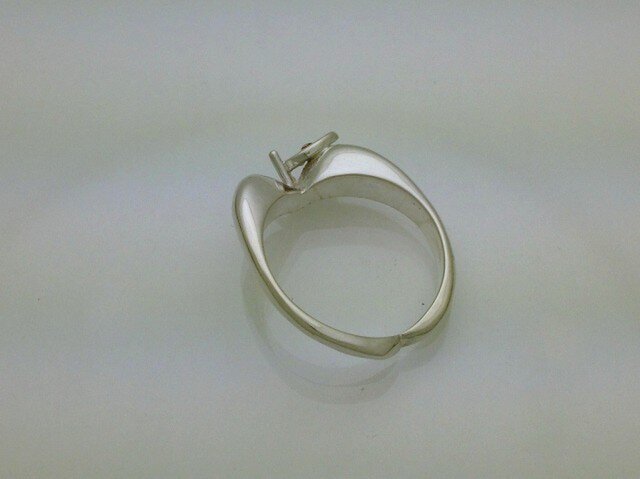 りんごの指輪 ＊誕生石入り＊ silver925 src974 | iichi 日々の