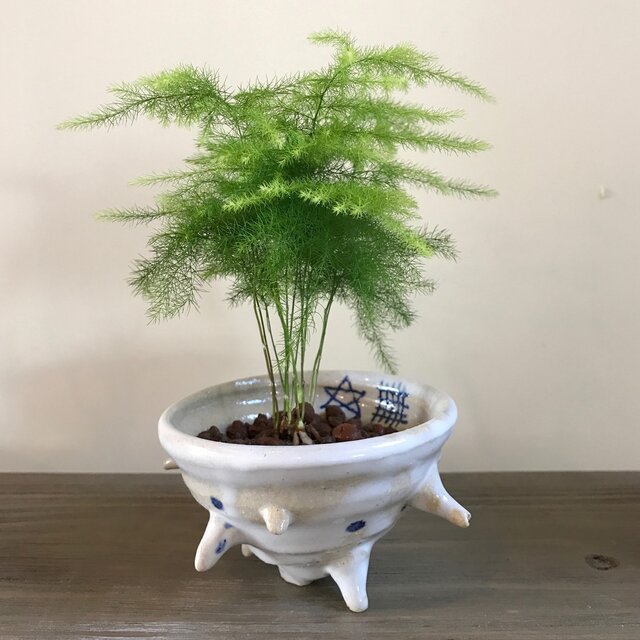 さざえ 陶器 白小鉢の画像1枚目
