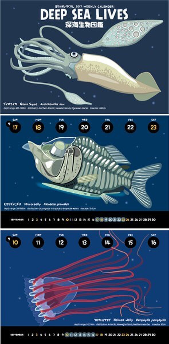 17深海生物図鑑カレンダー エコパック Iichi ハンドメイド クラフト作品 手仕事品の通販