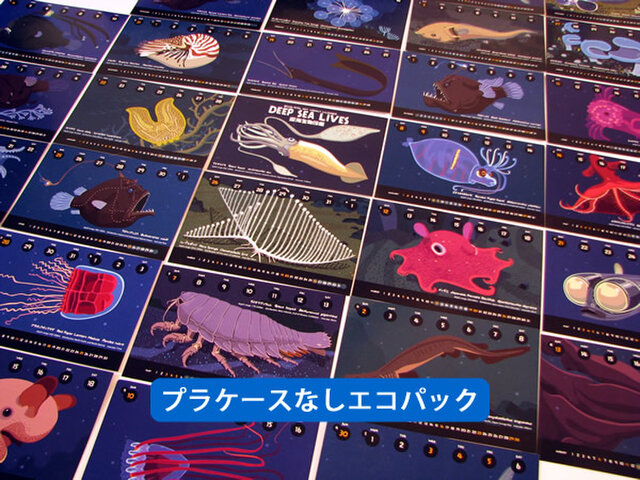 2017深海生物図鑑カレンダー(エコパック)の画像1枚目