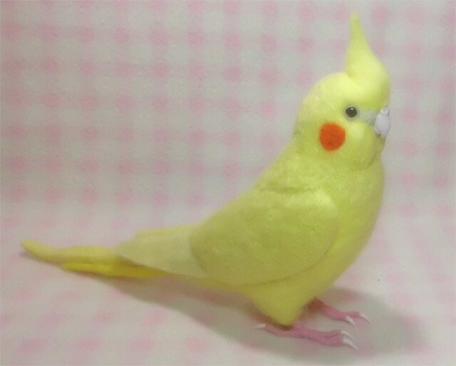 リアル！オカメインコ イエロールチノー 羊毛フェルト 受注製作 ライフサイズ 羊毛インコ 羊毛ぬいぐるみ 工房小鳥屋さん | iichi  日々の暮らしを心地よくするハンドメイドやアンティークのマーケットプレイス