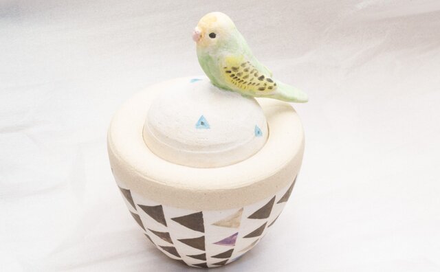 カノプス壺 セキセイインコの画像1枚目