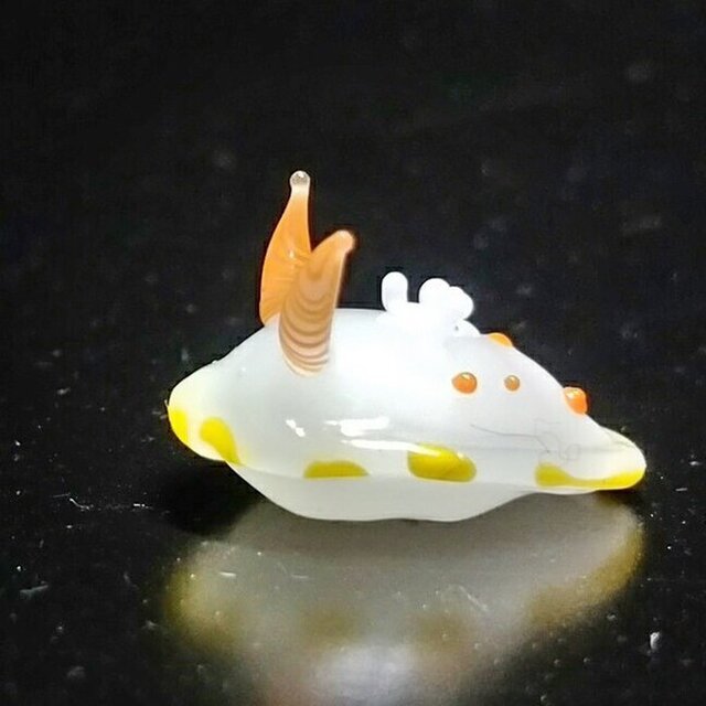 ガラスのシラユキウミウシの画像1枚目