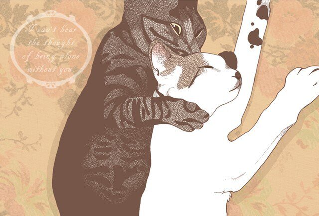 仲良し猫のポストカード2種セットの画像1枚目
