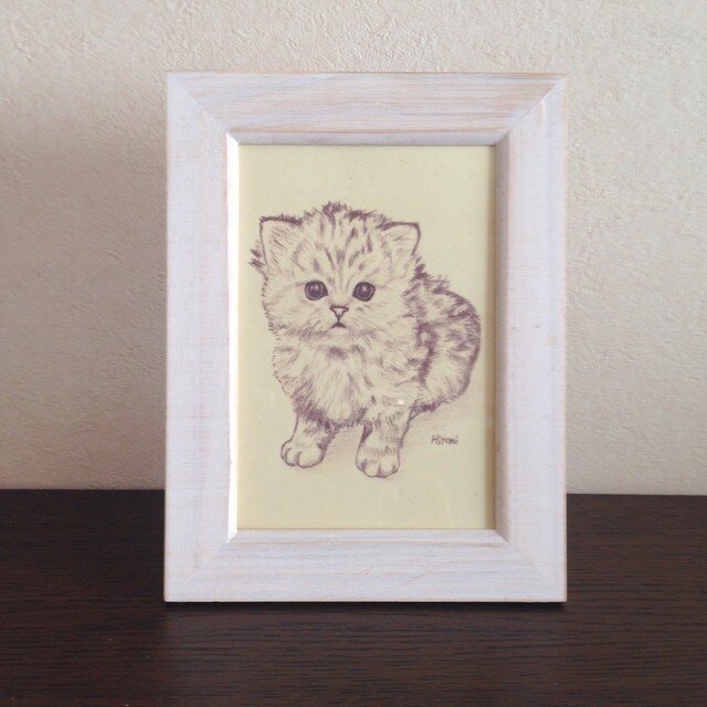 ポストカード チンチラの子猫 おすわり 同柄4枚の画像1枚目