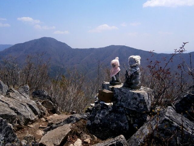 なつかしの山・思い出の花シリーズ「釈迦ヶ岳・ヒトリシズカ」 | iichi