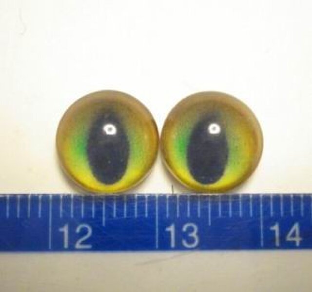 にゃんこのおめめ○猫目○グラスアイ○半球10mm○10234の画像1枚目