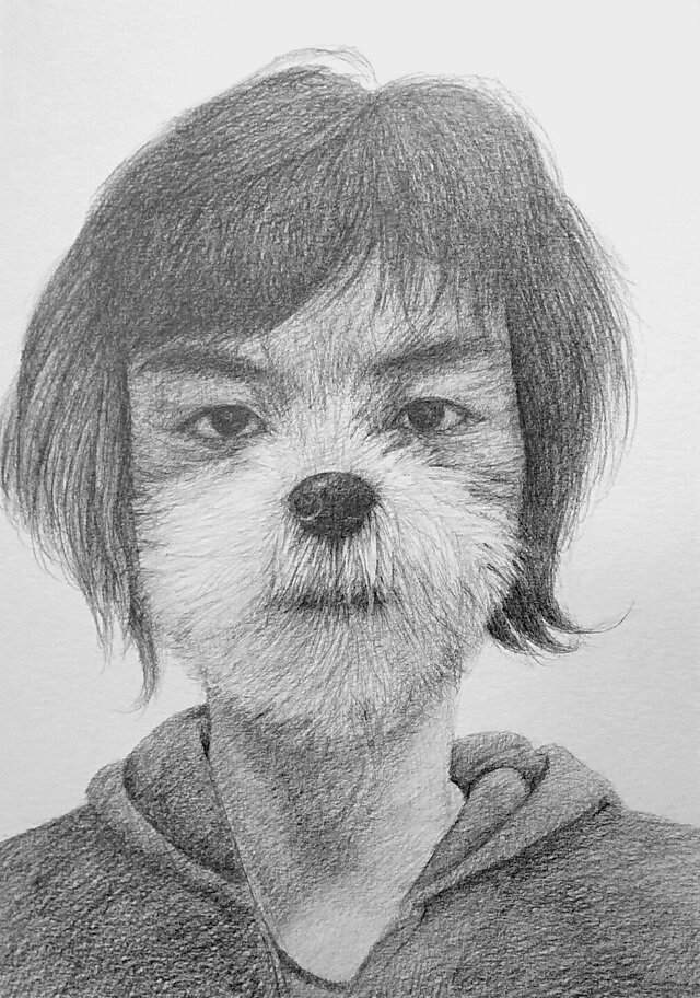 トキドキイヌの画像1枚目