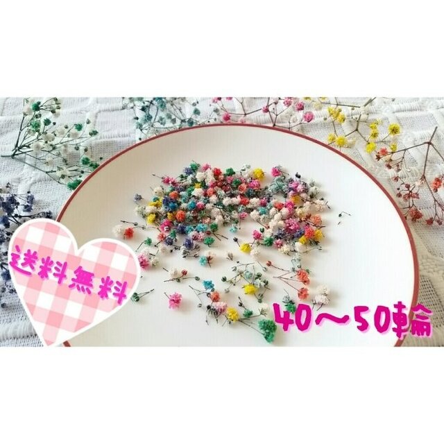 ♡カラフルかすみ草♡ドライフラワー♡6色MIX【送料無料】の画像1枚目