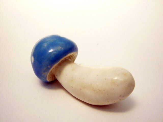 きのこ(青)の画像1枚目