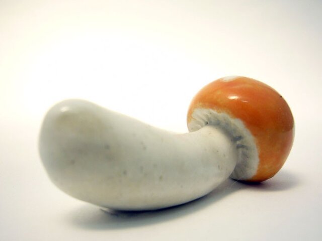 きのこ(だいだい色)の画像1枚目