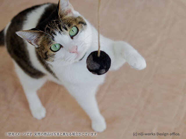 猫戯玉-cat the ball-ひとつぶ 【黒ごまプリン ニクキュー/29ver】の画像1枚目