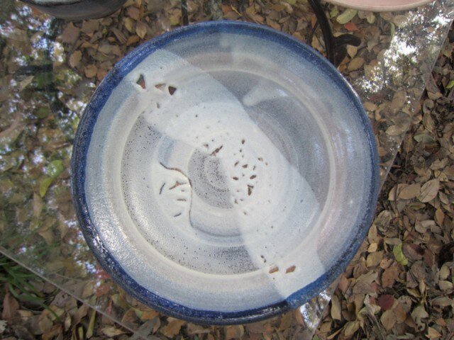 パスタ皿 Pasta plate 216×51mmの画像1枚目