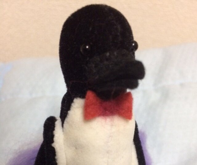 ペンギンさんの画像1枚目