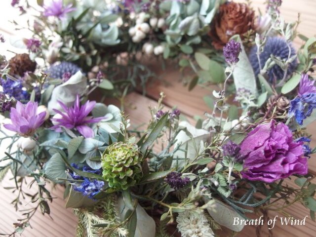 紫陽花と瑠璃玉あざみリース 夏のお花瑠璃玉アザミと紫陽花の涼しげなハーフリース。ドライ