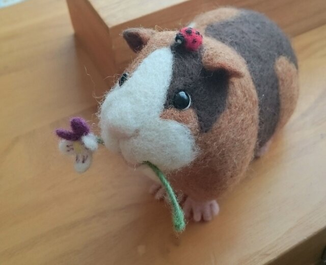 モルモット◇羊毛フェルト なでたくなる背中( *´꒳`*)/💖 羊毛モルワッサン