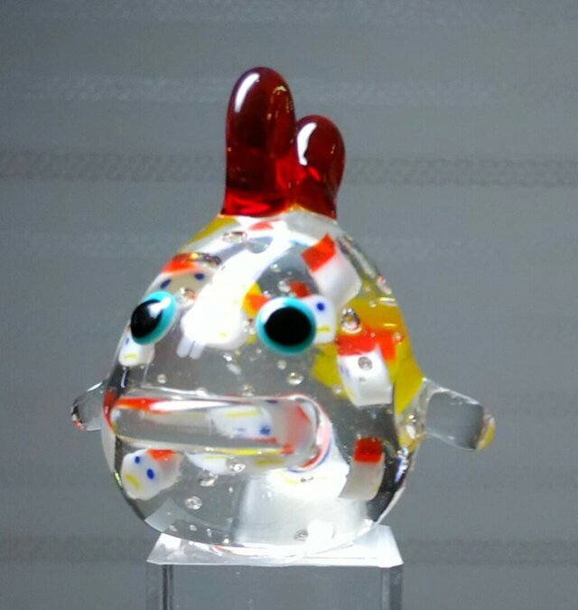 にわとり in ニワトリの画像1枚目