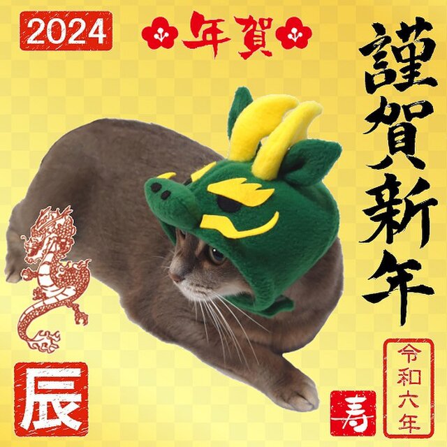 【オーダー受付】緑のネコちゃん ベビーコスチューム