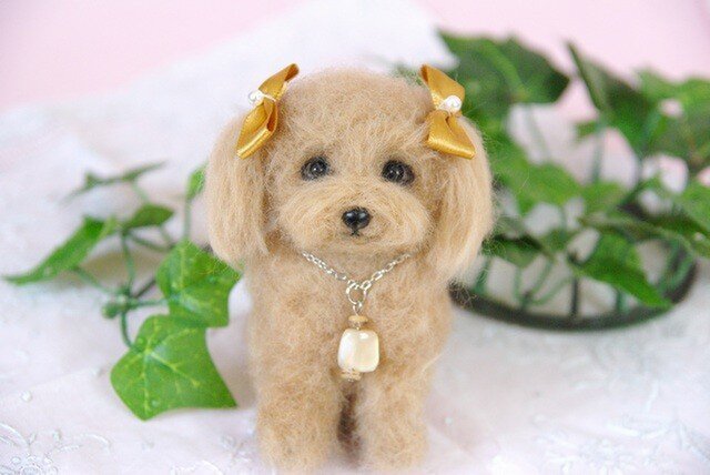 ☆★トイプードル犬 茶 ★☆の画像1枚目