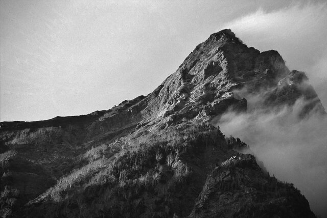 Wandering - 風 -の画像1枚目