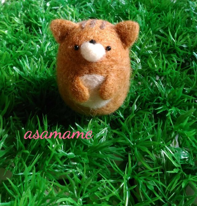 つぶらな瞳の茶トラねこさんの画像1枚目