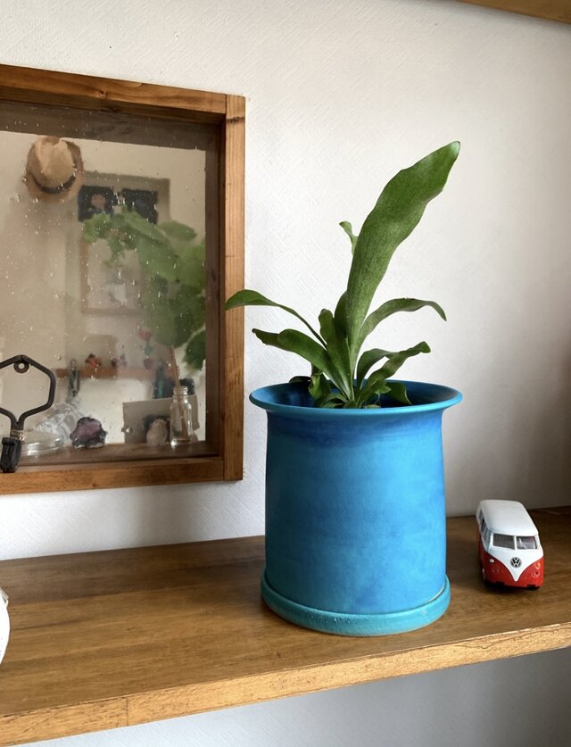 a植木鉢 ターコイズブルー 受け皿付き | iichi 日々の暮らしを心地よく