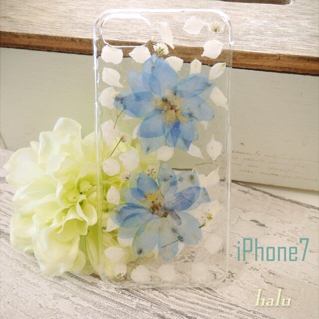 押し花iPhoneケース/千鳥草(デルフィニウム)の画像1枚目