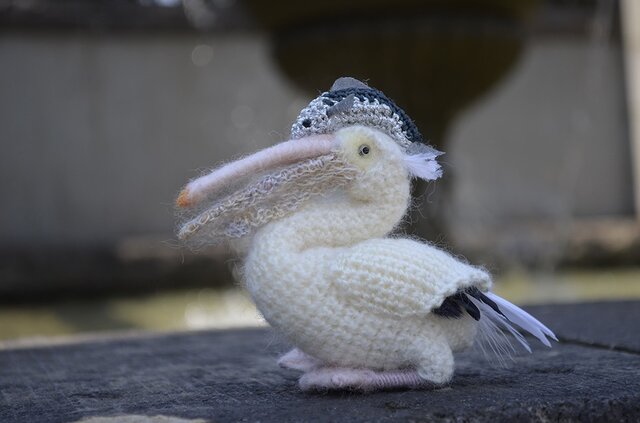 ゴキゲンなペリカンの画像1枚目