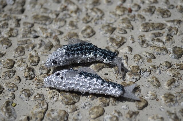 小魚のあみぐるみの画像1枚目