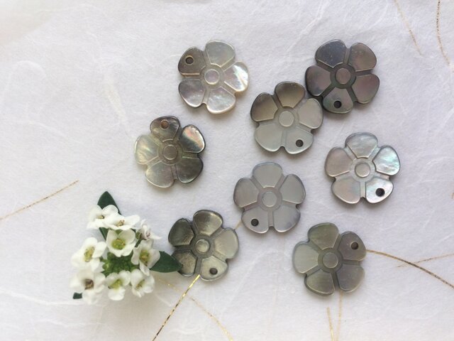 蝶貝(お花)の画像1枚目
