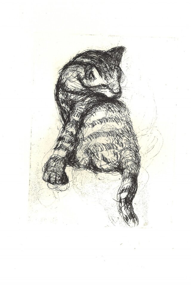 お気に入り 額付き銅版画応用絵画 title「僕は猫」 絵画/タペストリ 