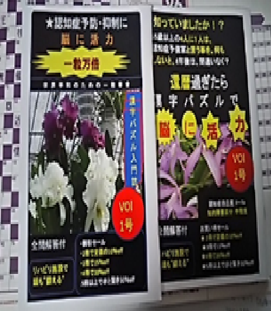 脳トレ漢字パズルセットNO8の画像1枚目