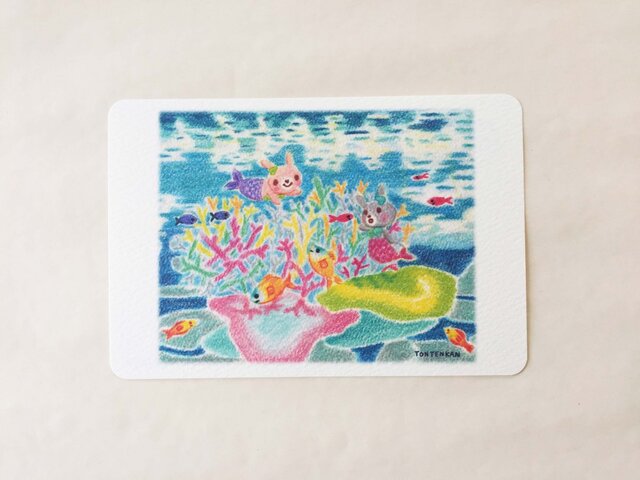 海の中でこんにちは ポストカードno.059の画像1枚目