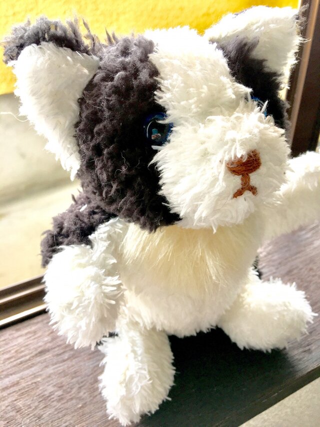 モコふわボーダーコリーちゃんの画像1枚目