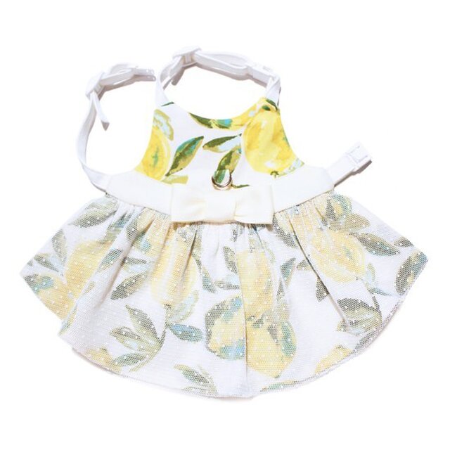 Jaune ete citron ROBE|Quality Bunny Clothesの画像1枚目