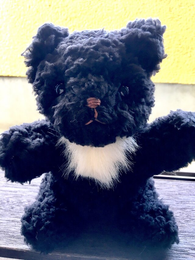 モコモコ黒ポメラニアンちゃんの画像1枚目