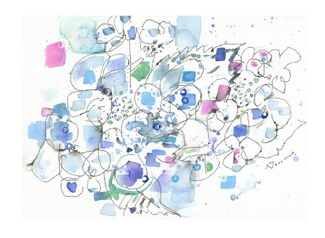 祈り(額紫陽花)の画像1枚目