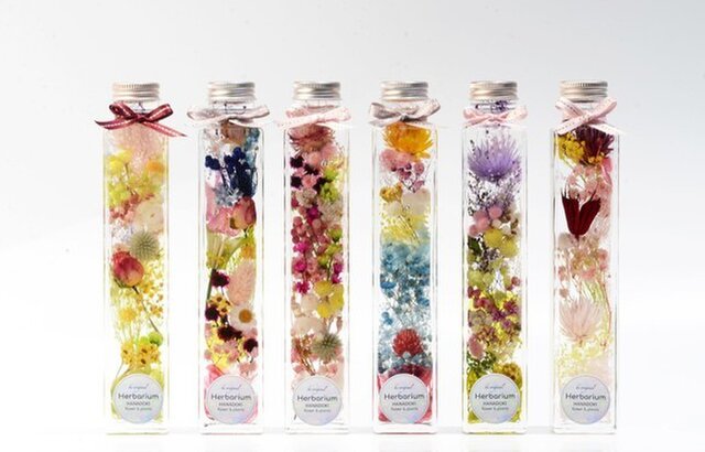 Forest ハーバリウム HANADOKI.RIUM 「花」の美しい「時」の画像1枚目