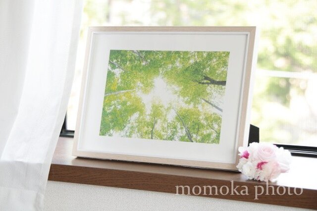 和紙でつづる光の森 癒しの風(額無し 裏打ちあり)の画像1枚目